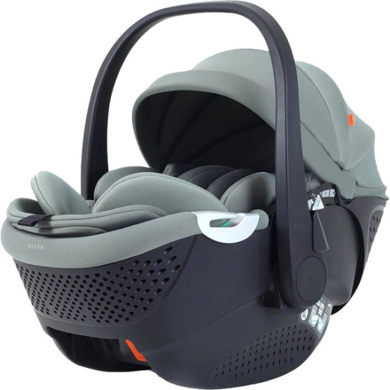 Автокресло Rant Aster Zero / AY378 (оливковый) Автокресло Rant Aster Zero / AY378 (оливковый)