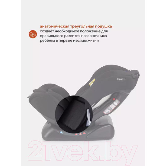 Автокресло Rant Basic Rally / ZY19 (черный) Автокресло Rant Basic Rally / ZY19 (черный)
