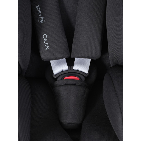 Автокресло Rant Miro / AY370 (черный)